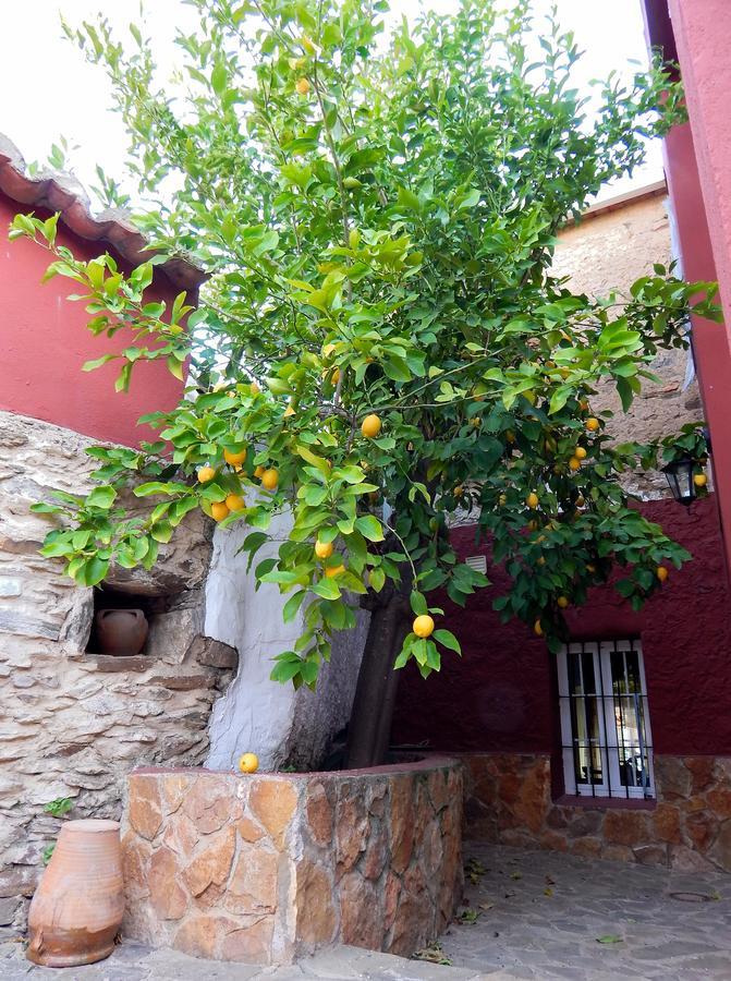 Casa Rural La Perra Gorda Zorita (Caceres) Exterior foto